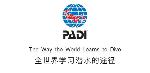 12/12正式上線！PADI 最新課程【休閑潛水員Resort Diver】 丨 一天拿證，潛遍全球