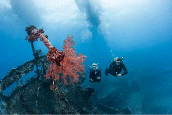 成為潛水員之前的你，是不是也問過這些問題？