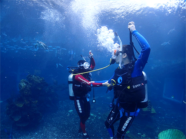 潛水常見問題，原來潛水沒你想的那么難