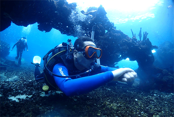 潛水常見問題，原來潛水沒你想的那么難