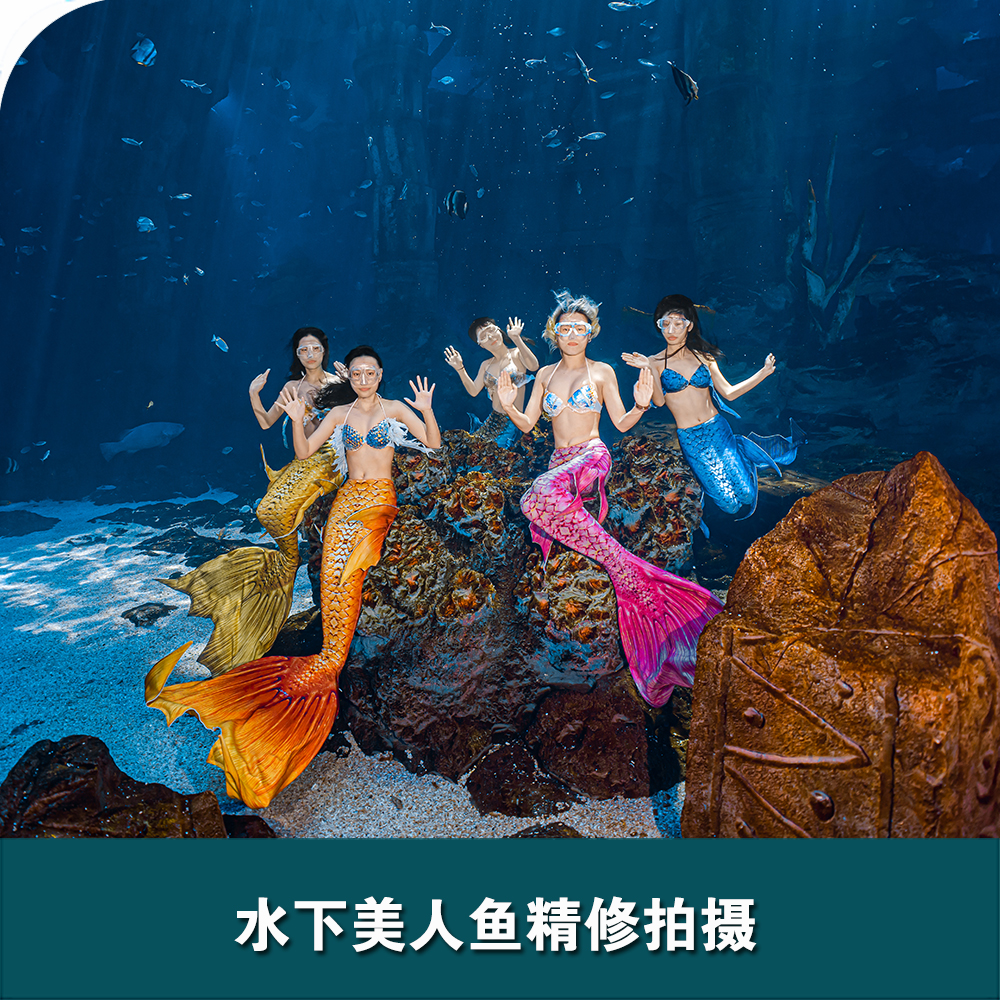 舟山長(zhǎng)喬海洋公園水下美人魚(yú)拍攝