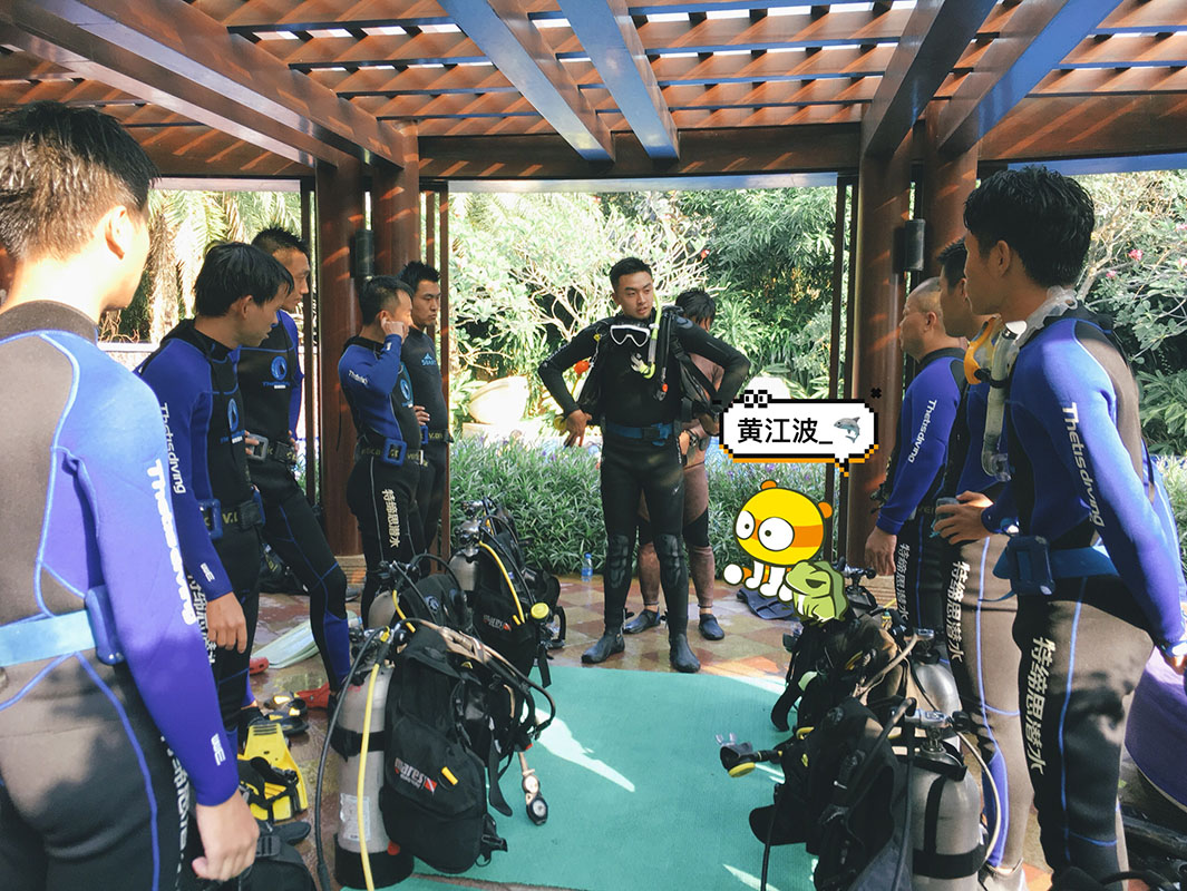 除了俯瞰大地的飛翔，還有潛入海底的翱翔。